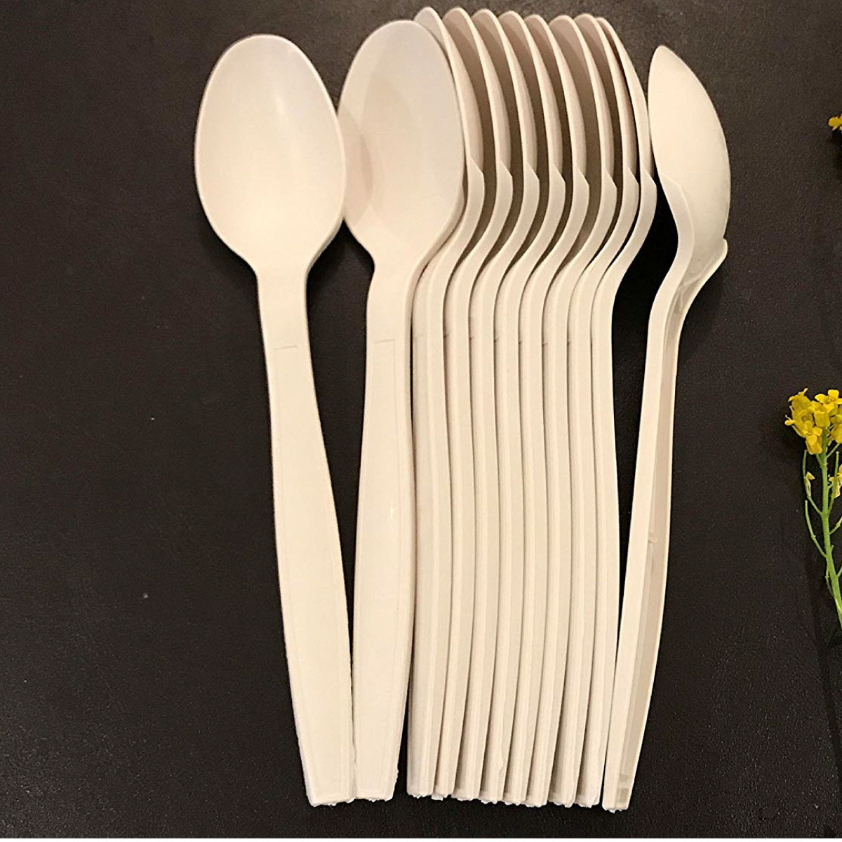 100 Corn Starch Tasting Spoons Biodegradable and Compostable